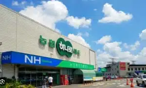 농협하나로마트-새봄맞이-특별할인행사
