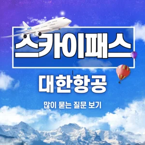대한항공 스카이패스