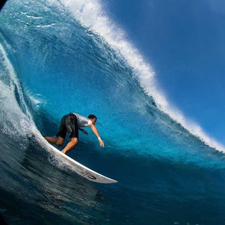 2024 파리 올림픽 정식 채택 종목