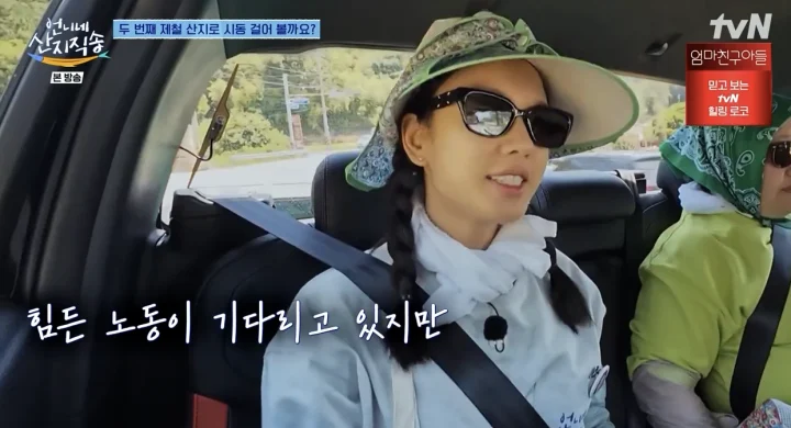 염정아 선글라스 안은정 선글라스