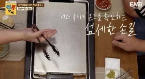 발뮤다 더 플래이트