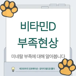 비타민D 부족증상