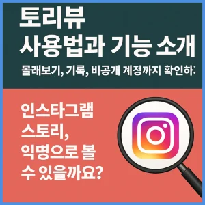 토리뷰 사용법 스토리 몰래보기