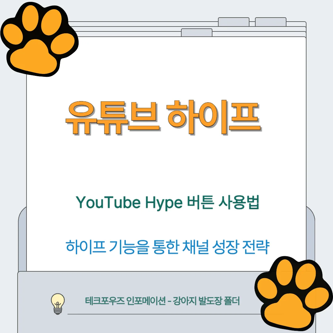 유튜브 하이프